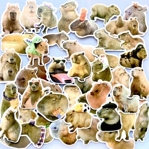 Capybara Sticker Bundle Cute Animal Stickers, Water Resistant, Laptop Stickers, Hydroflask Stickers, Funny Stickers Gift for Capybara Lovers
