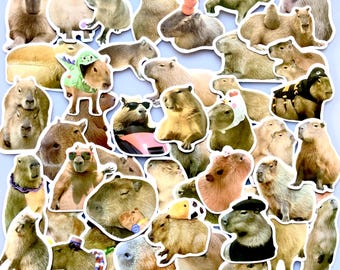 Capibara stickerbundel schattige dierenstickers, waterbestendig, laptopstickers, hydroflaskstickers, grappige stickers cadeau voor capibaraliefhebbers