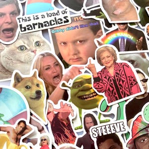 Beliebte Meme Sticker Pack Lustige Internet Meme Aufkleber Wasserflasche Aufkleber Laptop Aufkleber Meme Lustige Geschenkidee Viral Internet Meme Aufkleber