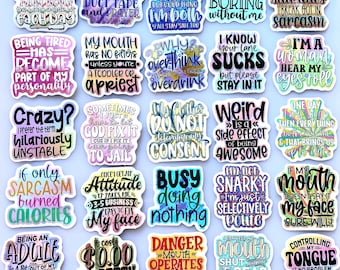 Snarky Sticker Bundle Funny Quote Sticker Sarcastic Sticker Gift for Coworker Laptop Water Bottle Planner Decal Set Humor Stickers Statement