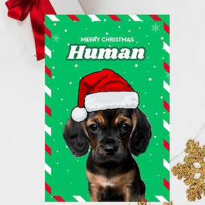 Tarjeta de Navidad para mascota con gorro de Papá Noel personalizada Tarjeta de Navidad personalizada para mascota con gorro de Papá Noel, Tarjeta de Navidad para mascota con gorro de Papá Noel, Tarjeta de Navidad para mascota con gorro de Papá Noel