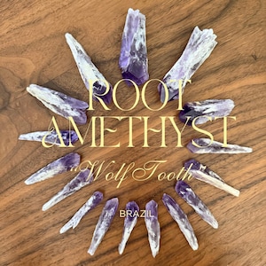 May include: A collection of purple and white root amethyst crystals arranged in a circular pattern on a wooden surface. The text "Root Amethyst" and "Wolf Tooth" are displayed in gold lettering. The word "Brazil" is also visible.