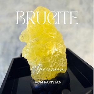 May include: A bright yellow, translucent brucite mineral specimen with a crystalline, textured surface. The stone is mounted on a black circular base. The text BRUCITE Specimens FROM PAKISTAN is overlaid on the image in white lettering.