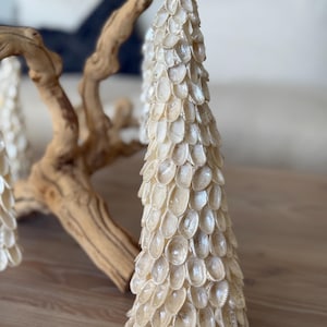 Könnte beinhalten: Ein dekorativer, kegelförmiger Baum aus kleinen, cremefarbenen Muscheln. Der Baum steht auf einer Holzoberfläche, mit einem natürlichen Treibholzast im Hintergrund. Der Baum ist etwa 25 cm hoch.