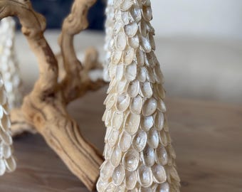 Árbol de Navidad de conchas