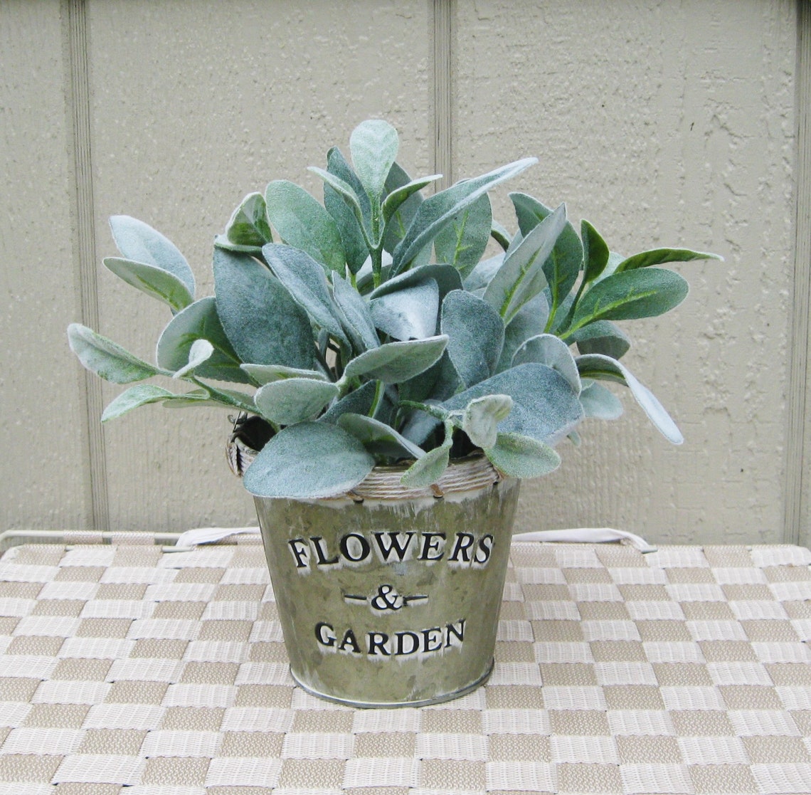 Lambs Ear Centerpiece, Galvanize Vase Centerpiece, Farmhouse