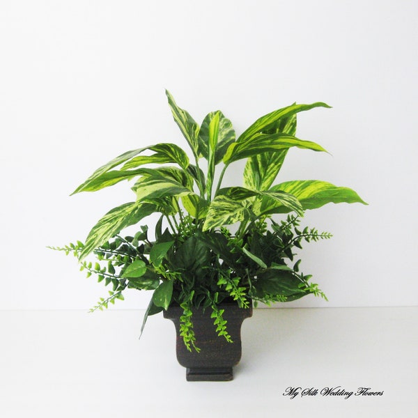 Farmhouse Centerpiece, Dieffenbachia Boxwood Arrangement, Artificial house Plant