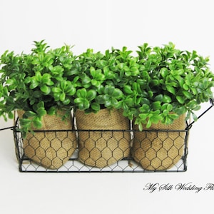 Puede incluir: Tres plantas verdes en macetas de tela de arpillera están dispuestas en una cesta de alambre negro con asa. La cesta está sobre una superficie blanca.