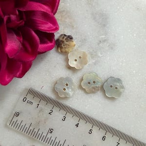 Op de afbeelding: Vier kleine, bloemvormige knopen met twee gaten in het midden, in iriserende, gebroken witte en bruinachtige tinten. Een doorzichtige plastic liniaal ligt onder de knopen en toont dat elke knoop een diameter van ongeveer 1,3 cm heeft.