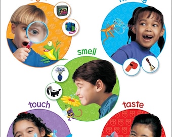 Jeux Cinq Sens à imprimer | 29 activités amusantes et éducatives | Téléchargement numérique PDF | Anglais et persan (farsi)