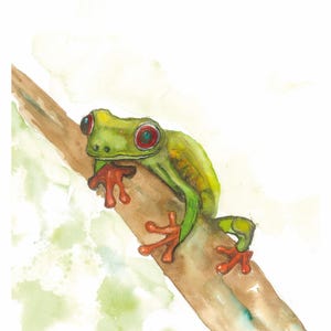 May include: A watercolour painting of a green tree frog with red eyes sitting on a brown branch. The frog has orange feet and is perched on the branch with its front legs outstretched.