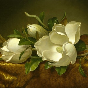 Magnolia Au Vert Perfume - Magnolia blossoms, Green grass, Lily of the valley, Green mandarin, Vanilla musk