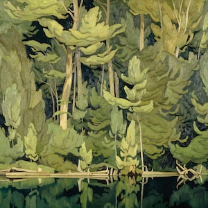 Shinrin-Yoku Perfume - Bitter orange, Yuzu, Spicebush, Alpine conifers, Green patchouli, Vetiver, Wet clay, Forest loam