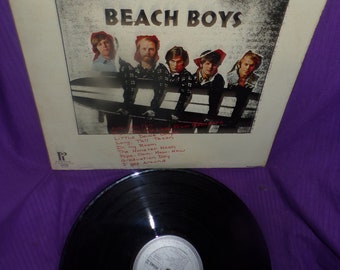 vintage The Beach Boys Wow Great Concert    vinyl    lp record album