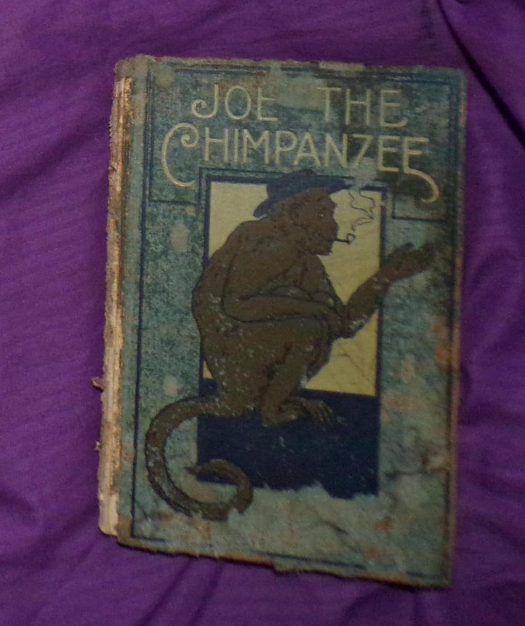 Antique 1899 Joe the Chimpanzee Illustrated Hardback Book - Etsy