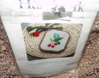 Kit de bordado floral a mano con marco