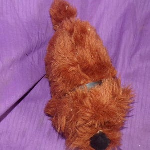 May include: A brown plush dog toy with a black nose and a black collar. The toy is lying on a purple surface.