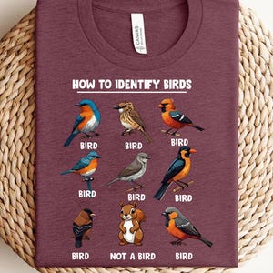 How to Identify Birds PNG, Funny Bird Watching Shirt PNG, Not a Bird Chipmunk Sublimation, Nature Lover Birder Wildlife Humor Png Design