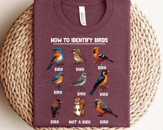 How to Identify Birds PNG, Funny Bird Watching Shirt PNG, Not a