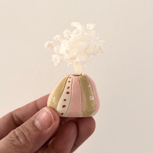 May include: A small, rounded ceramic vase featuring vertical stripes in muted olive green and soft pink, with a central white stripe decorated with small red dots, containing a cluster of delicate, dried white baby's breath flowers.