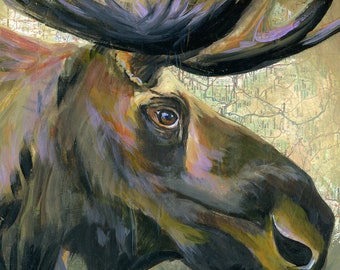 Bull Moose print on canvas
