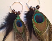 Peacock Feather Hoop Earrings