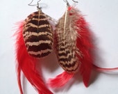 Feather Earrings