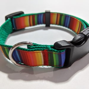 May include: A green and multi-colored striped dog collar with a black plastic buckle and a silver D-ring.