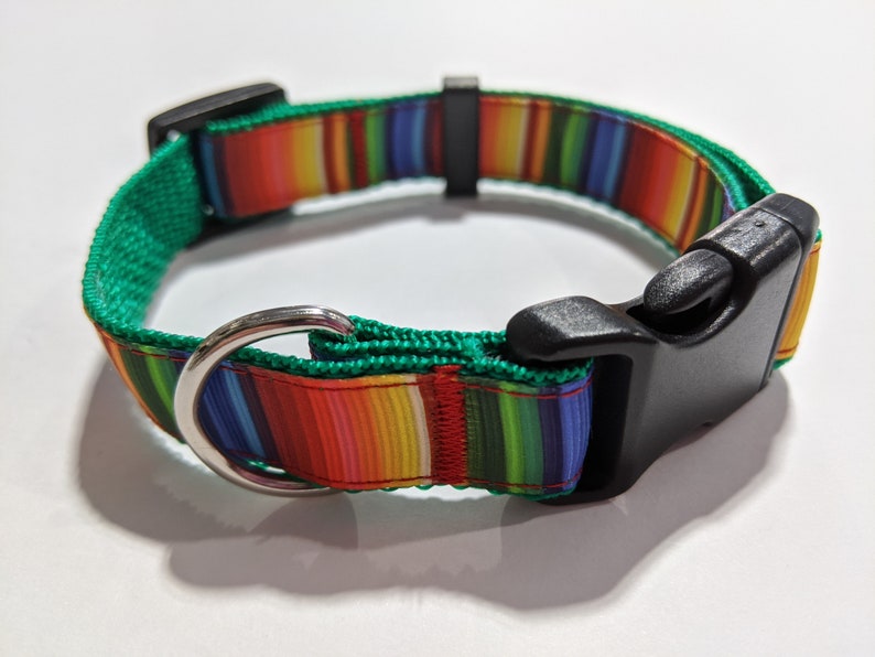 May include: A green and multi-colored striped dog collar with a black plastic buckle and a silver D-ring.
