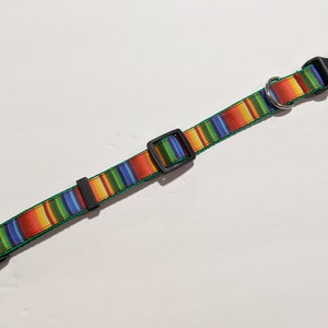 May include: A colorful striped dog collar with a black plastic buckle and a silver metal ring.
