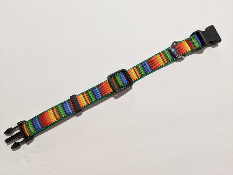 May include: A colorful striped dog collar with a black plastic buckle and a silver metal ring.