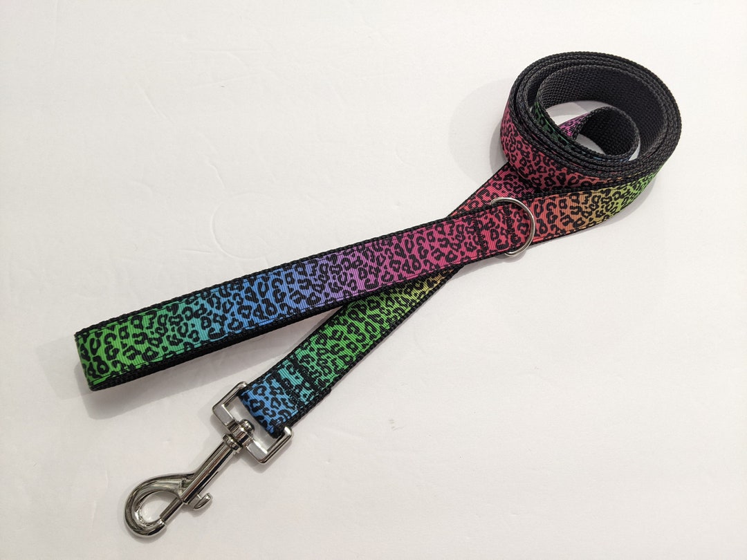 Cheetah Print Dog Leash Rainbow Dog Leash 1 Inch Wide Leash 3 to 8 Foot
