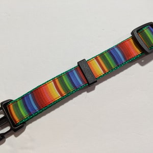 May include: A colorful striped dog collar with a green border and black plastic buckle.