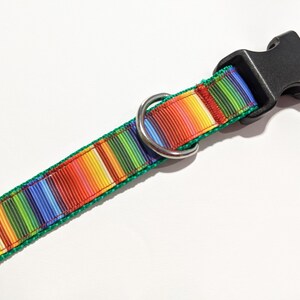May include: A colorful dog collar with a rainbow stripe pattern and a black plastic buckle. The collar is green on the edges.