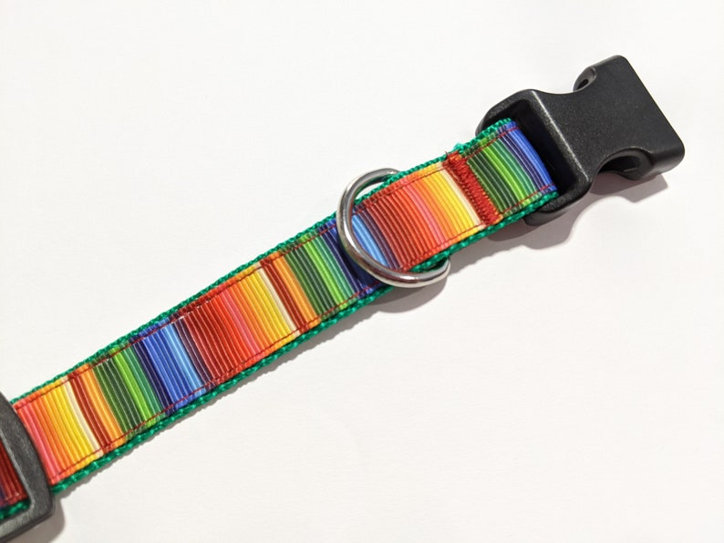 May include: A colorful dog collar with a rainbow stripe pattern and a black plastic buckle. The collar is green on the edges.