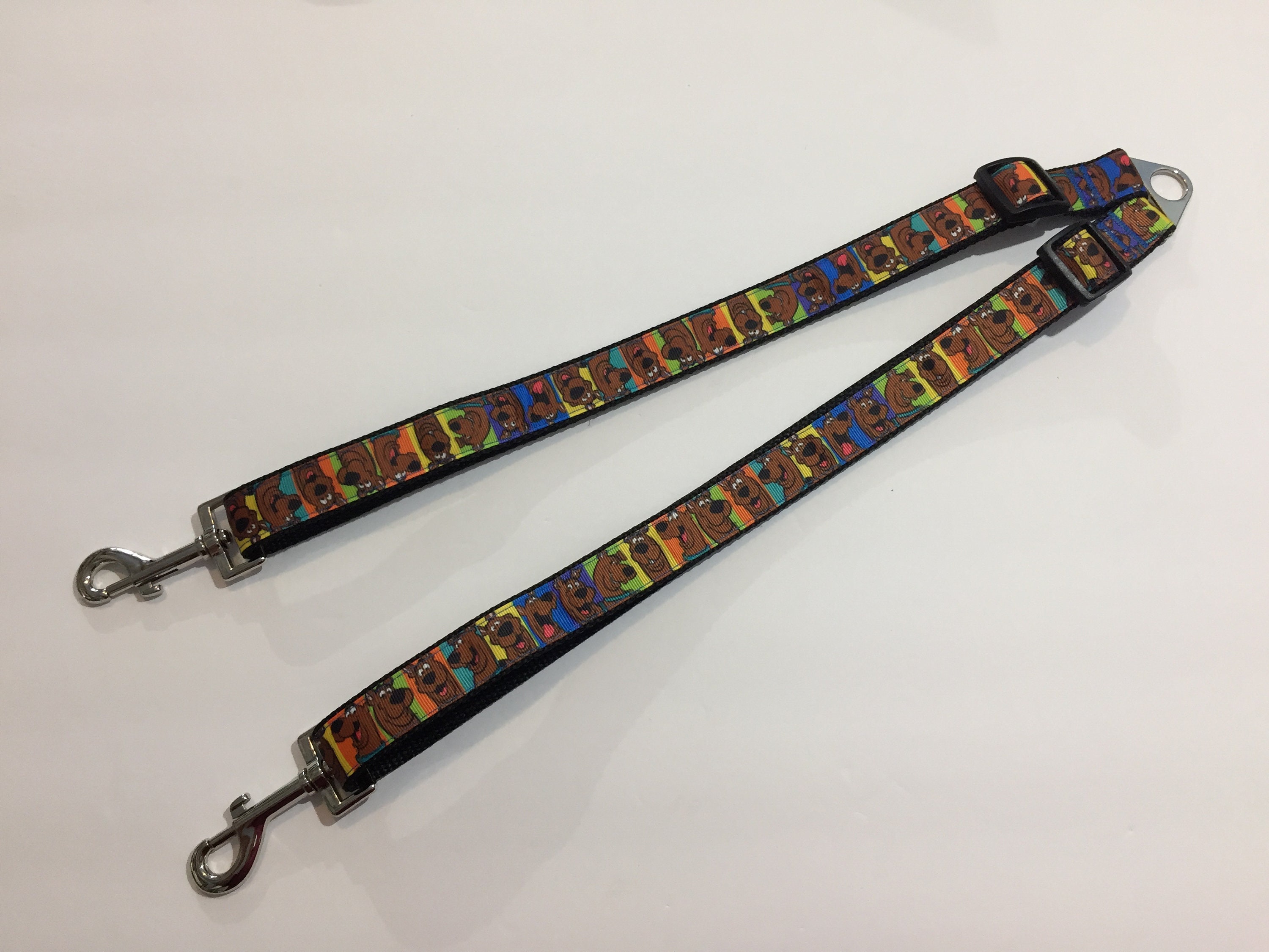 walk 2 dogs on one leash