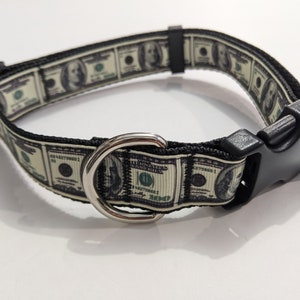 Money Dog Collar: Adjustable 1-Inch Cash Puppy Collar