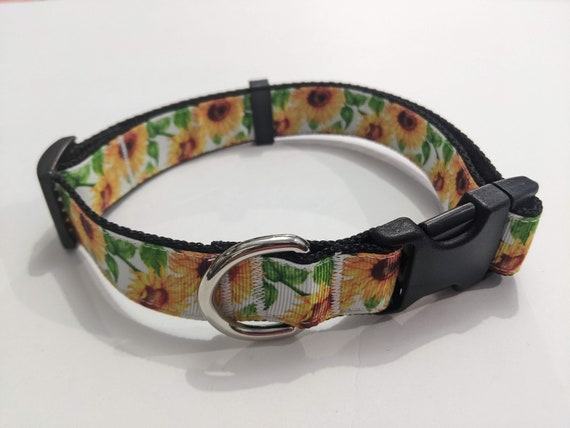 Dog sunflower collar outlet