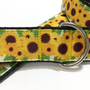 May include: A black dog collar with a sunflower print. The collar has a silver D-ring.