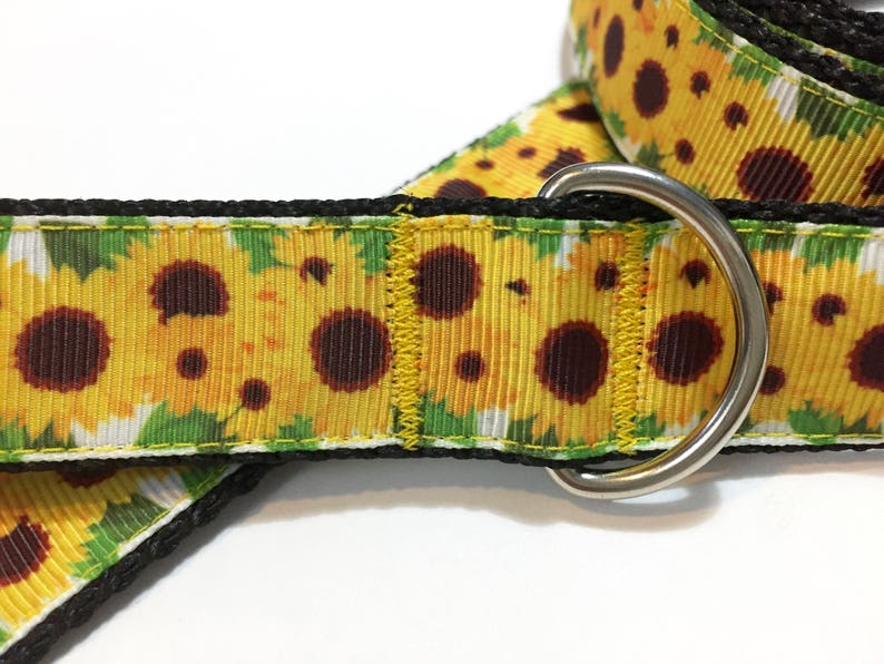 May include: A black dog collar with a sunflower print. The collar has a silver D-ring.