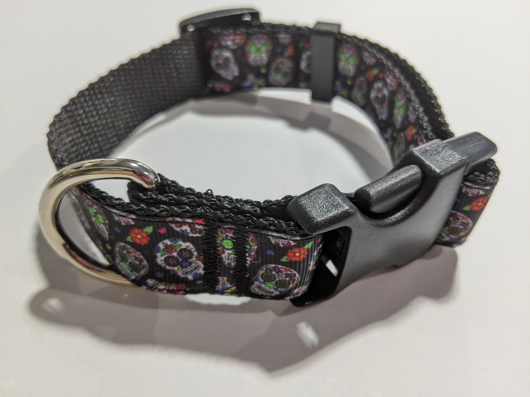 Sugar Skulls Dog Collar Day of the Dead Dog Collar 1 Inch Wide Collar