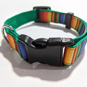 May include: A green and multi-colored striped dog collar with a black plastic buckle.