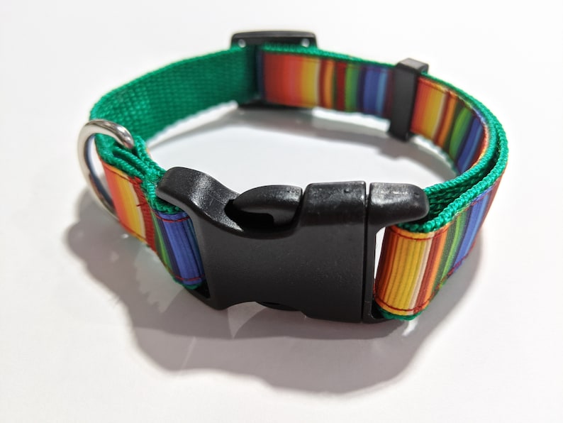 May include: A green and multi-colored striped dog collar with a black plastic buckle.