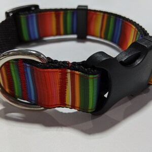 Rainbow Serape Dog Collar: Adjustable Striped Puppy Collar, (1" Wide)