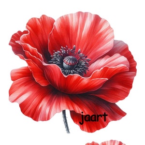 Strijkfoto, opstrijkpatch, bloemen, tulpen, klaproos, lentebloemen, strijkpatches voor kindermodepret, kledingaccessoires,