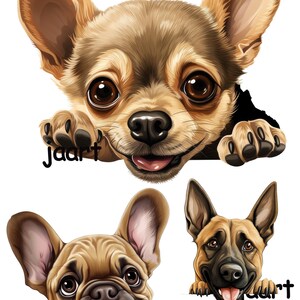 Pode incluir: Três raças de cães diferentes espiando por cima de uma superfície. Um chihuahua castanho e branco, um bulldogue francês castanho e branco e um pastor alemão castanho e preto.