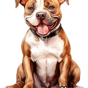 Strijkfoto, opstrijkpatch, hond, buldog, patches voor kindermodeplezier, kinderkledingaccessoires, naaien en knutselen