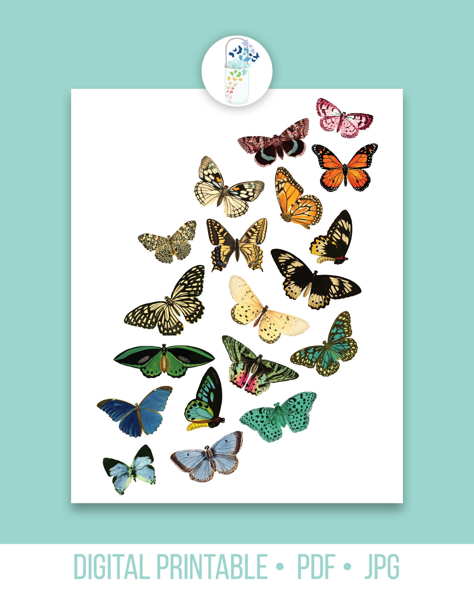 Multi-colored Butterflies Printable Art - Etsy