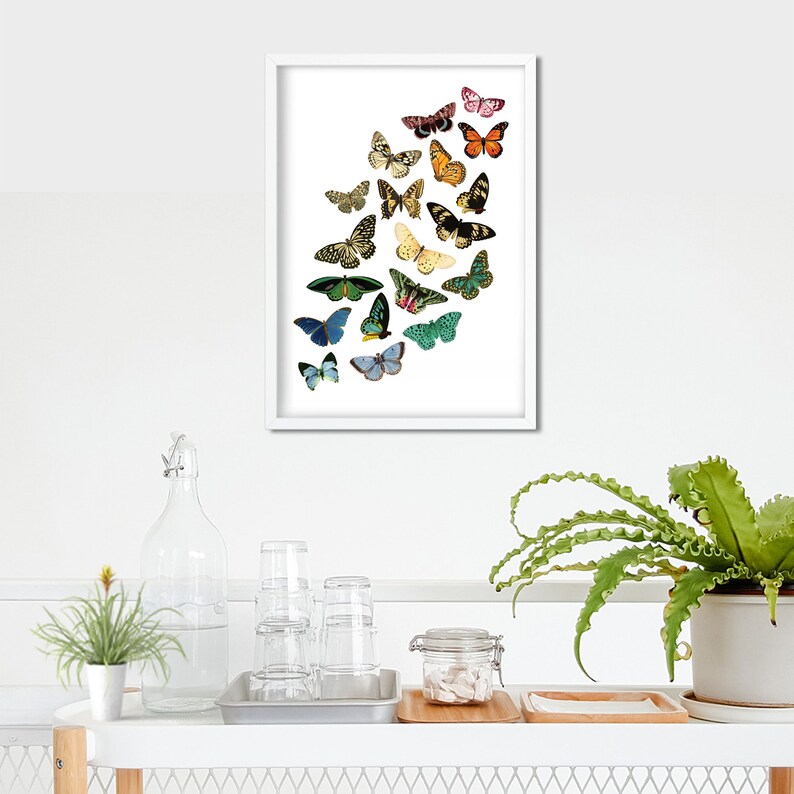 Multi-colored Butterflies Printable Art - Etsy
