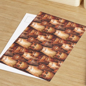 Katze Postkarten, Tier Illustration Briefpapier Set, süsses Kitty Art Prints, Katzenliebhaber Geschenk, Kätzchen Grußkarten Pack, wunderliche Katze